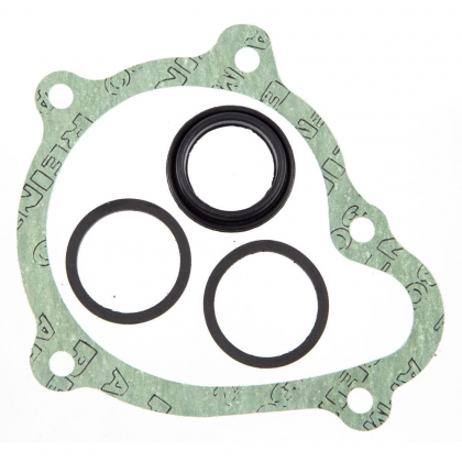 Orbitrade 22038 Gasket Kit for Circulation Pump for Volvo Penta B21, B23