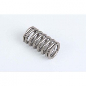 1545198 Volvo Penta Aftermarket VF-198 Valve Spring for Volvo Penta D30, D31, D32, D40, D41, D42, D43, D44, D300