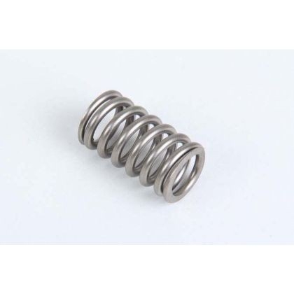 1545198 Volvo Penta Aftermarket VF-198 Valve Spring for Volvo Penta D30, D31, D32, D40, D41, D42, D43, D44, D300