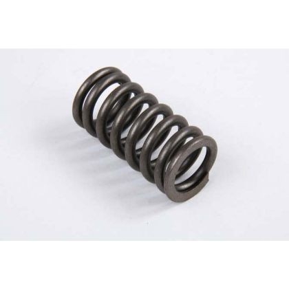 21326667 Volvo Penta Aftermarket VF-667 Valve Springs for Volvo Penta D16
