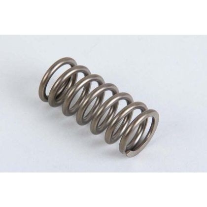 23803425 Volvo Penta Aftermarket VF-296 Valve Spring D16 & Industrial & Trucks & Construction